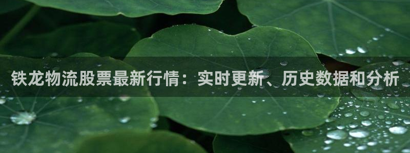 28圈里的财神