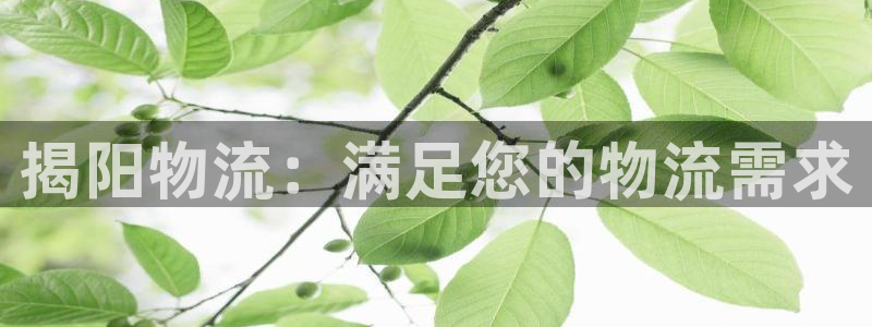 28圈账号注册：揭阳物流：满足您的物
