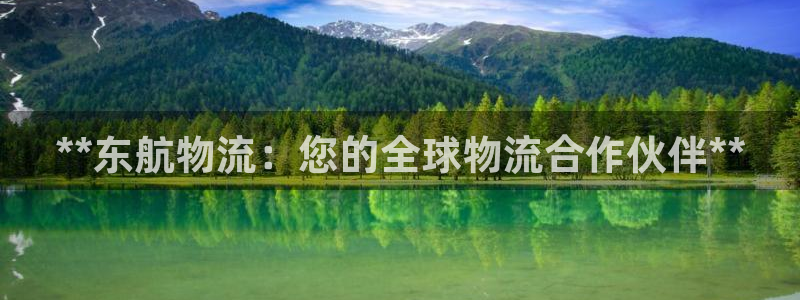 28圈麻将：**东航物流：您的全球物