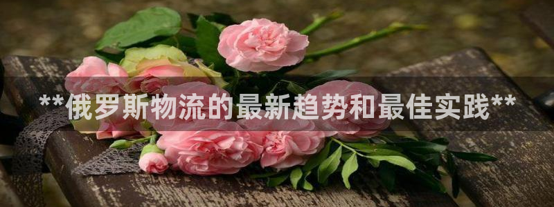 28圈激活码