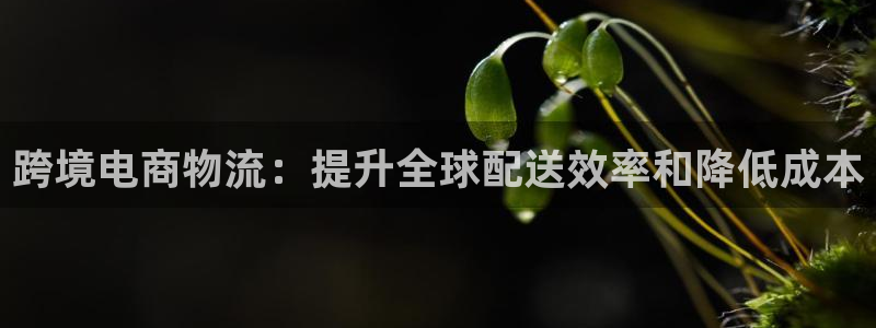 28圈注册链接入口：跨境电商物流：提