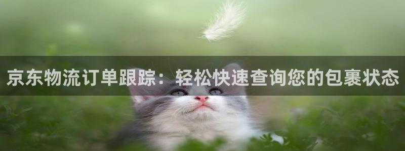 28圈官网预测