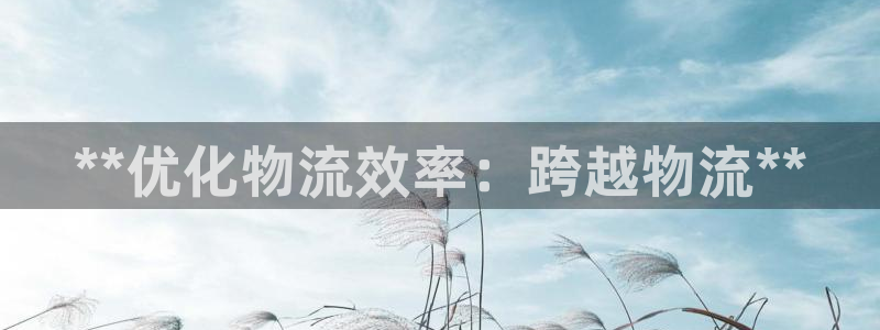28圈预测加拿大