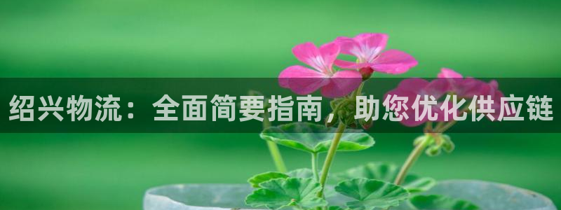 28圈充值不到账怎么回事