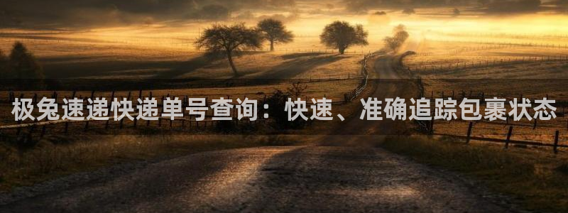 28圈黑不黑：极兔速递快递单号查询：