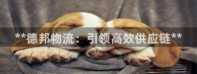 28圈娱乐官网网页入口：**德邦物流