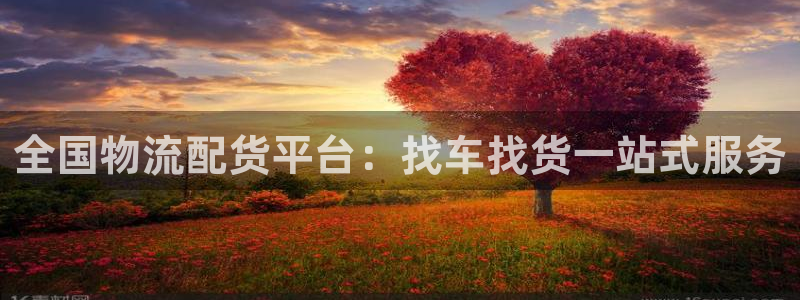 28圈app官网少林足球
