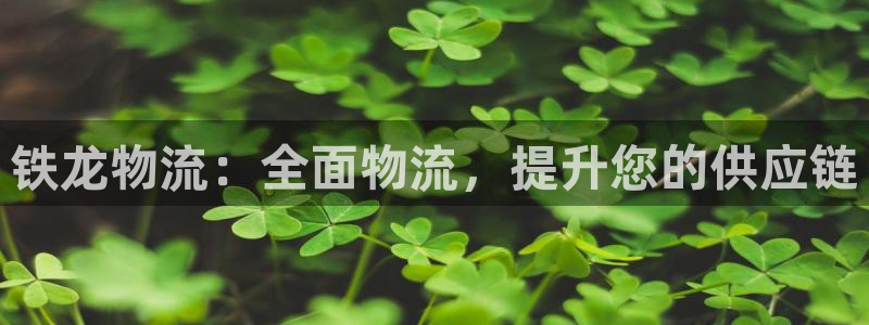 28圈连接：铁龙物流：全面物流，提升