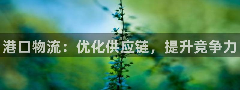 28圈.ccmpc29官网版
