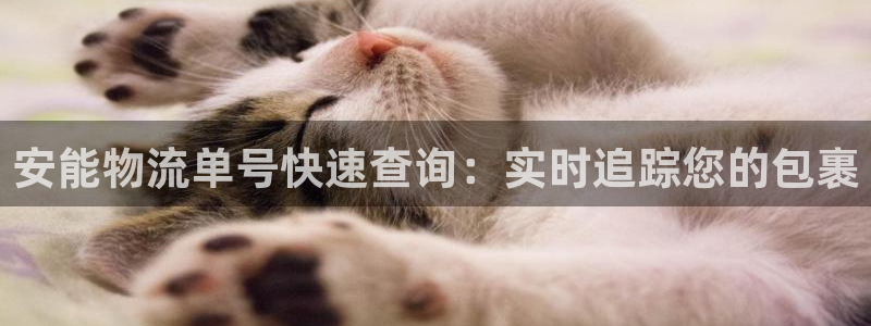 28圈v6能卖多少