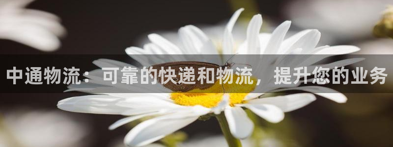 28圈比特28真实吗