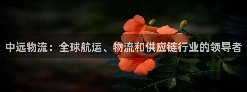 28圈p扣除
