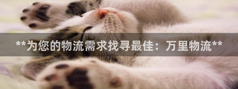 28圈初始资金密码在哪里改：**为您