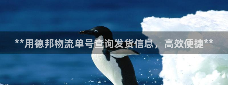 28圈取保