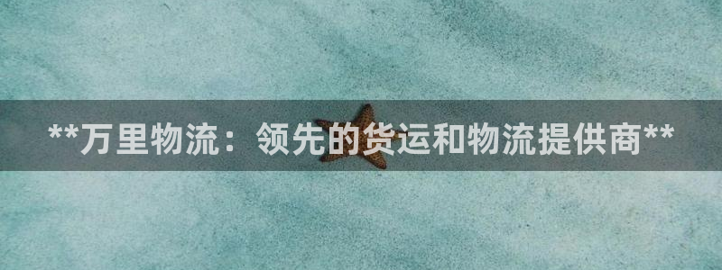 28圈网站平台是多少