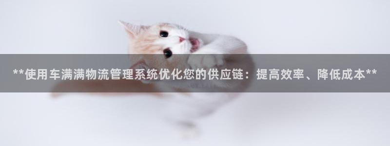 28圈p扣除是什么意思