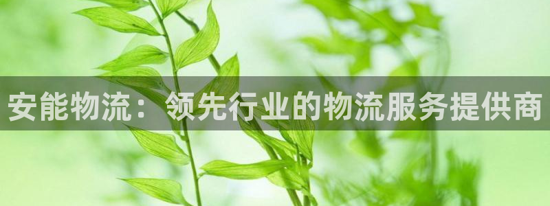 28圈注册网站：安能物流：领先行业的