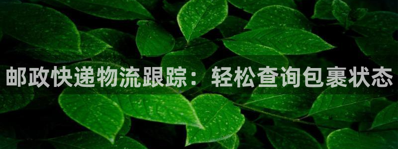 28圈系统自动保护