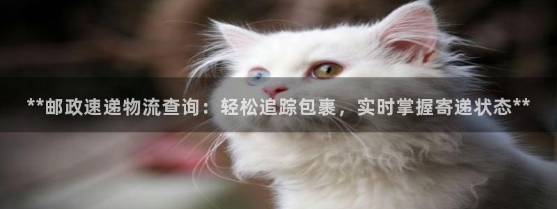 28圈提款一直没到