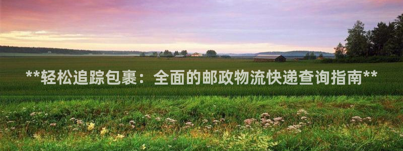 28圈注册条件：**轻松追踪包裹：全