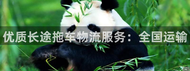 28圈官网多少