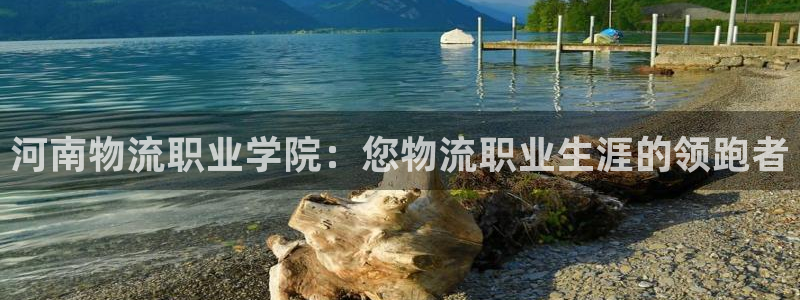 28圈玩法：河南物流职业学院：您物流