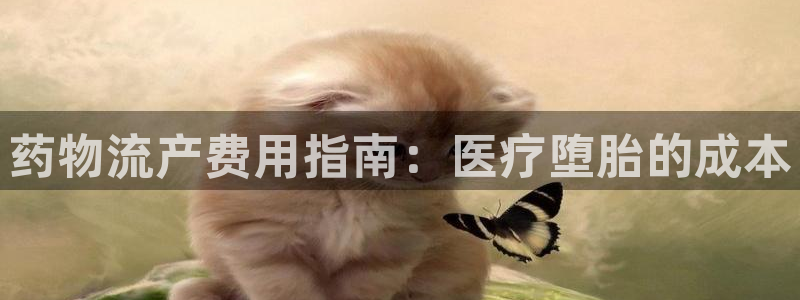 28圈.ccmpc预测：药物流产费用