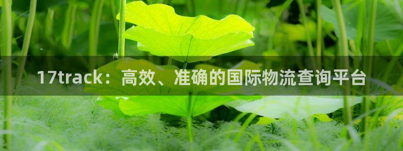 28圈女王中奖记录查询