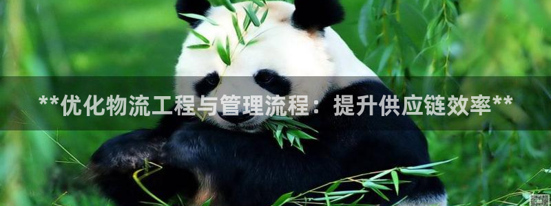 28圈官网下载链接是什么：**优化物