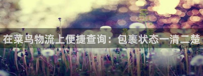 自行车28圈是什么意思