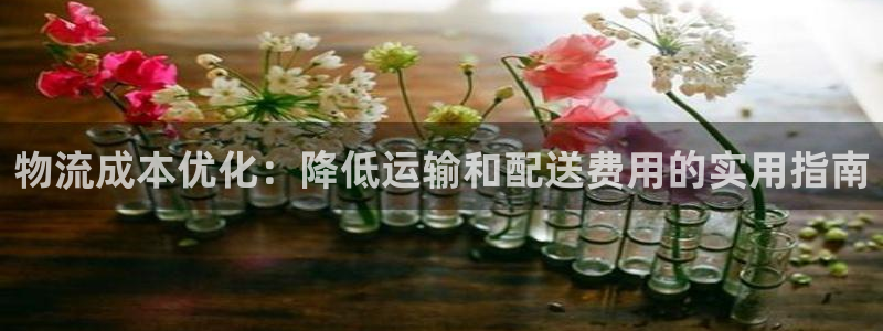28圈注册二维码：物流成本优化：降低