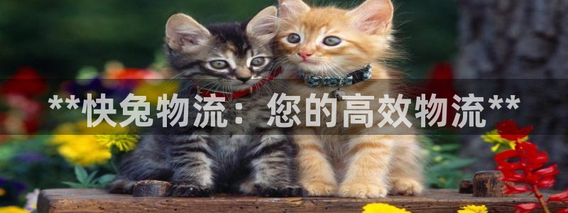 28圈圈助手：**快兔物流：您的高效