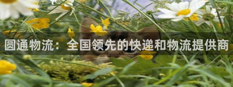 28圈吧