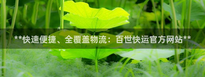 加拿大28圈数字规则