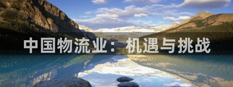 28圈分分28预测