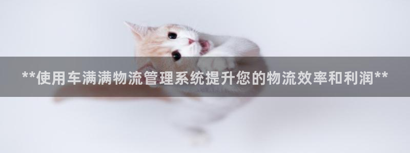 28圈官方版网站