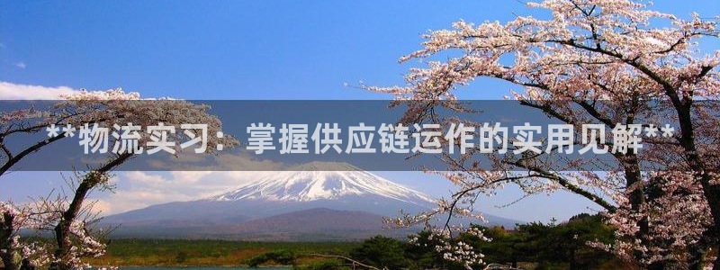 28圈加拿大模拟器：**物流实习：掌