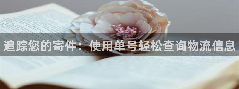 28圈初始资金密码是什么：追踪您的寄