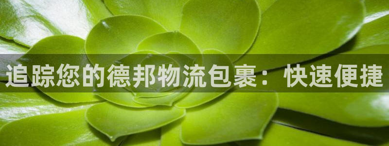 28圈初始密码在哪里修改的：追踪您的