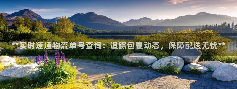 28圈反水：**实时速通物流单号查询