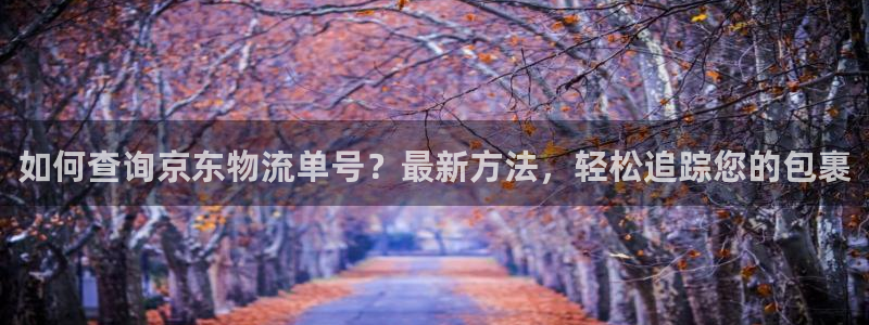 28圈能提现吗：如何查询京东物流单号