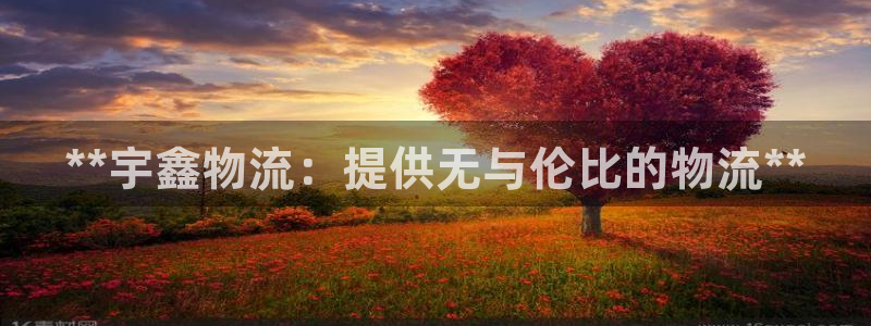 28圈官方