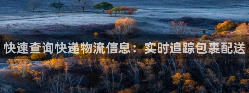 28圈h5链接：快速查询快递物流信息