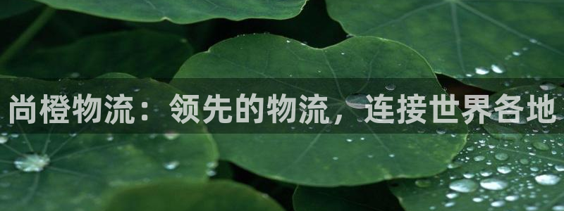 28圈登录：尚橙物流：领先的物流，连