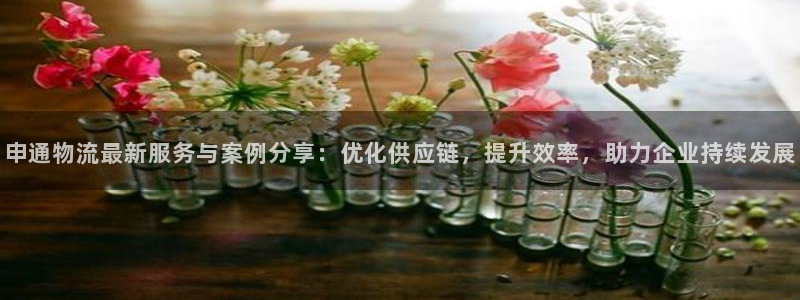 28圈p图上分下款通道：申通物流最新