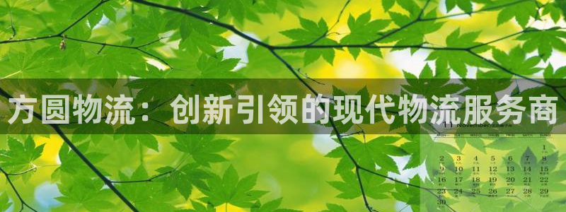 28圈网站怎么注册：方圆物流：创新引