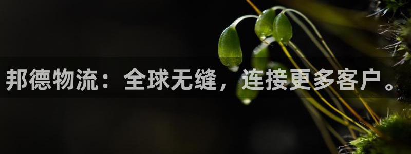 28圈怎么注册游戏名字：邦德物流：全球无缝，连接更多客户。