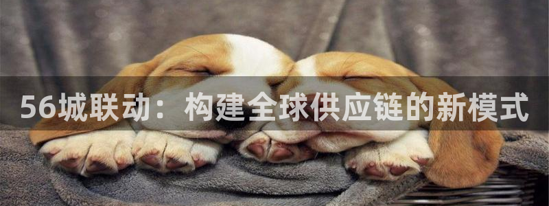 28圈app注册地址：56城联动：构