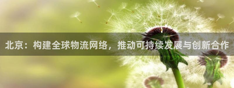 28圈账号注册：北京：构建全球物流网