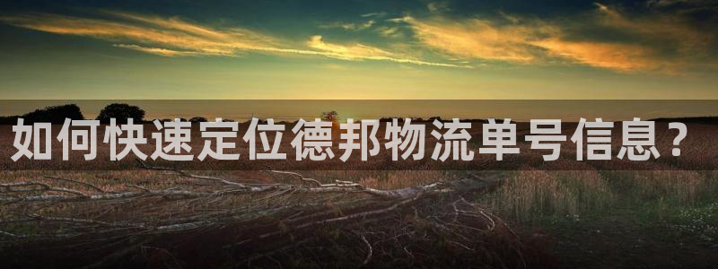 28圈最稳打法：如何快速定位德邦物流
